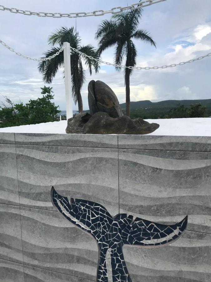 Oasis En La Naturaleza Rancho Alto Bonito Las Galeras Eksteriør bilde