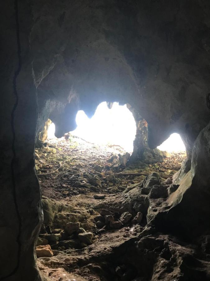 Oasis En La Naturaleza Rancho Alto Bonito Las Galeras Eksteriør bilde