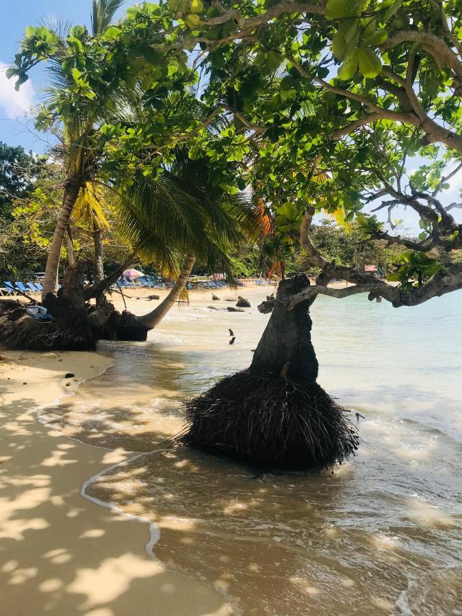 Oasis En La Naturaleza Rancho Alto Bonito Las Galeras Eksteriør bilde