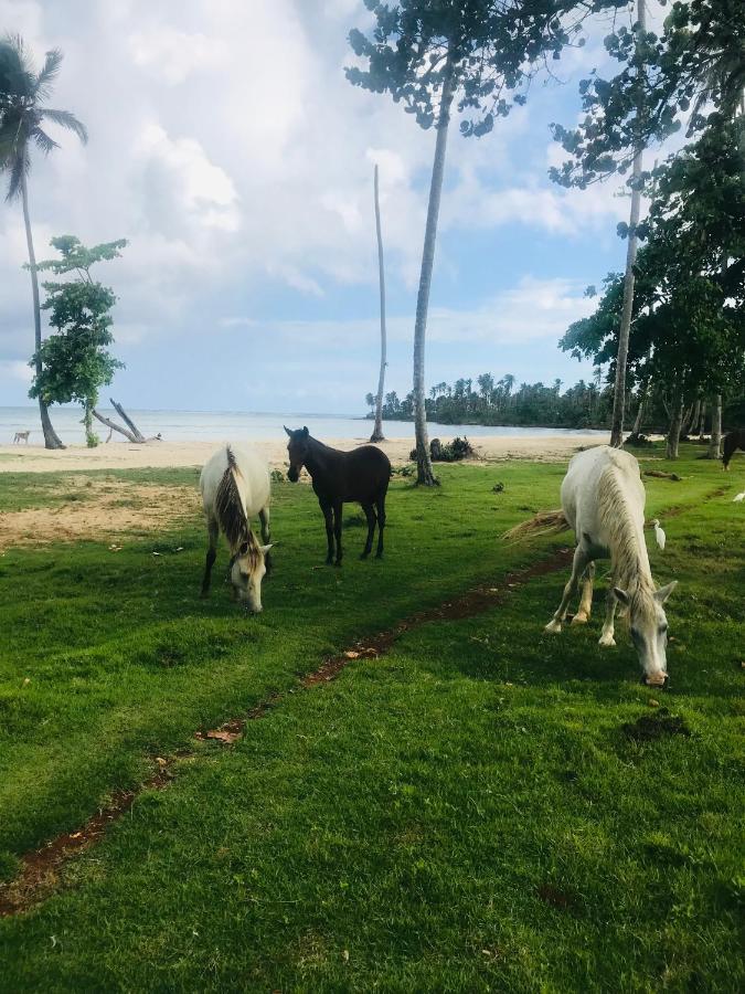 Oasis En La Naturaleza Rancho Alto Bonito Las Galeras Eksteriør bilde